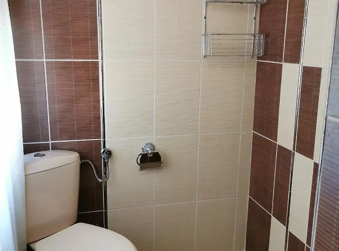 Guest house The Old House 4*